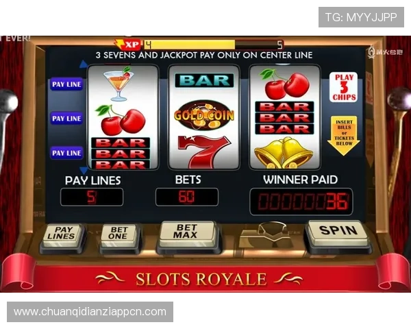 齐先生的赌场老虎机游戏评测全面解析不同类型老虎机的特色与玩法技巧